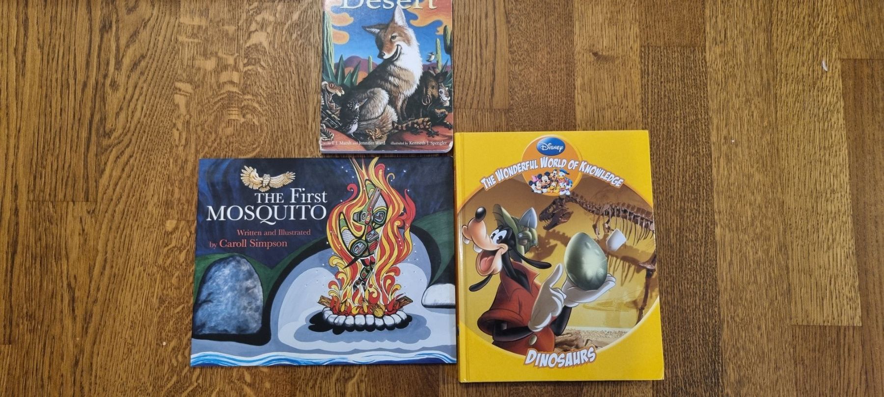 Libri: 3 Kinderbücher auf Englisch – Usato da Basel venduto da karols102
