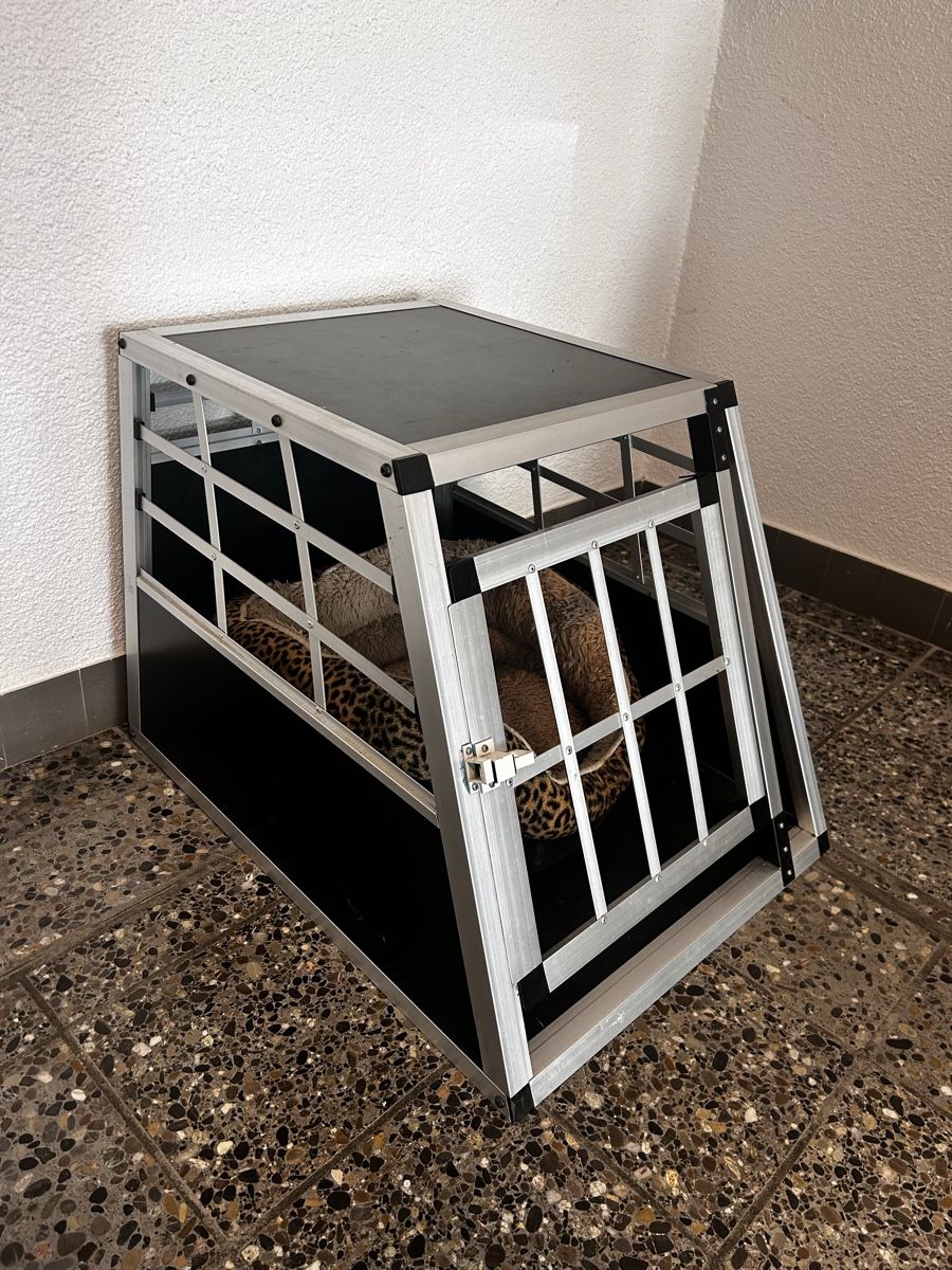 Niches, paniers: Transportbox Aluminium – D'occasion à Hünibach par JasiR 1