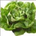 Profile image of SalatSalty