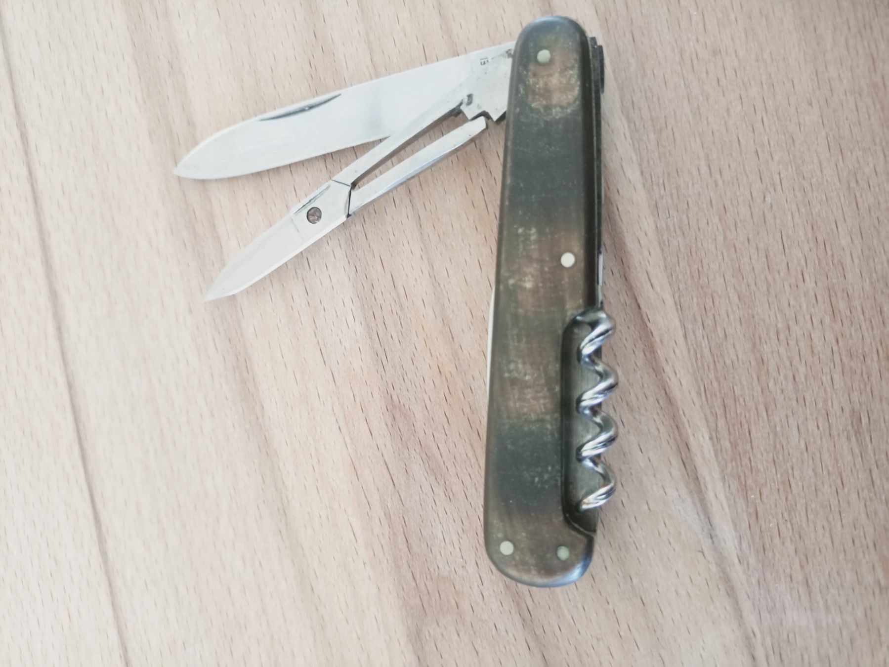 Coltelli tascabile: Seltenes Sackmesser "PROTEA" mit Horngriffe genietet. – Usato da Tuebach venduto da bac_7kpb