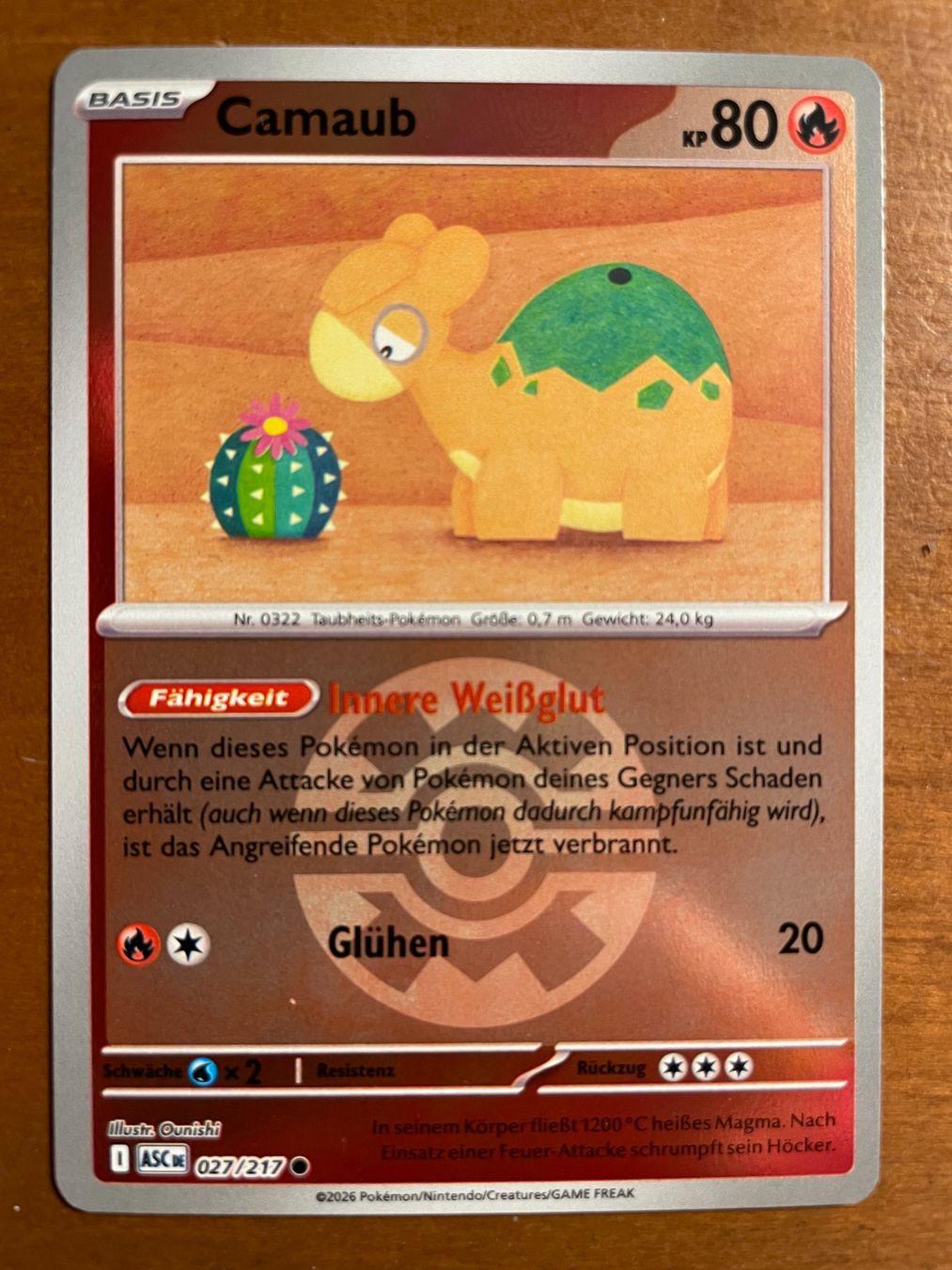 Pokémon Carte collezionabili: Pokemon Camaub Reverse (Versand gratis) – Nuovo (secondo la descrizione) da Chur venduto da Angerson