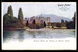 AK Vevey, Grand Hotel et Palace Hotel