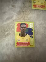 Panini 2026/ RSA7/ Ndamane/ Sudafrica
