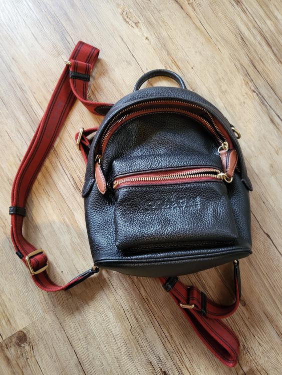 coach colorblock value charter backpack