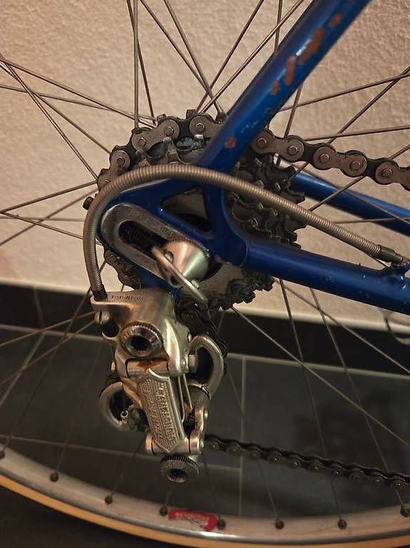 Velos: PINARELLO Treviso Special 1977 – Gebraucht aus Fully von ftaddei 1