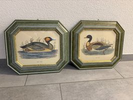 38.5 cm breit x 33.5 cm hoch Vogelbilder 2er Set Vintage
