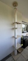 Kratzbaum für drinnen oder Balkon - Kopf verstellbar 