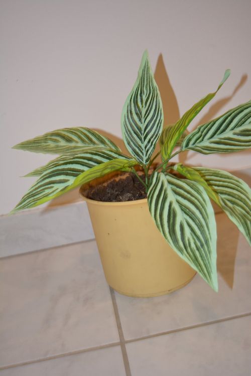 | künstlich auf Pflanze + Topf Kunstpflanze dekoration Kaufen Ricardo Pflanzen