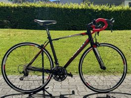 Rennvelo Giant 