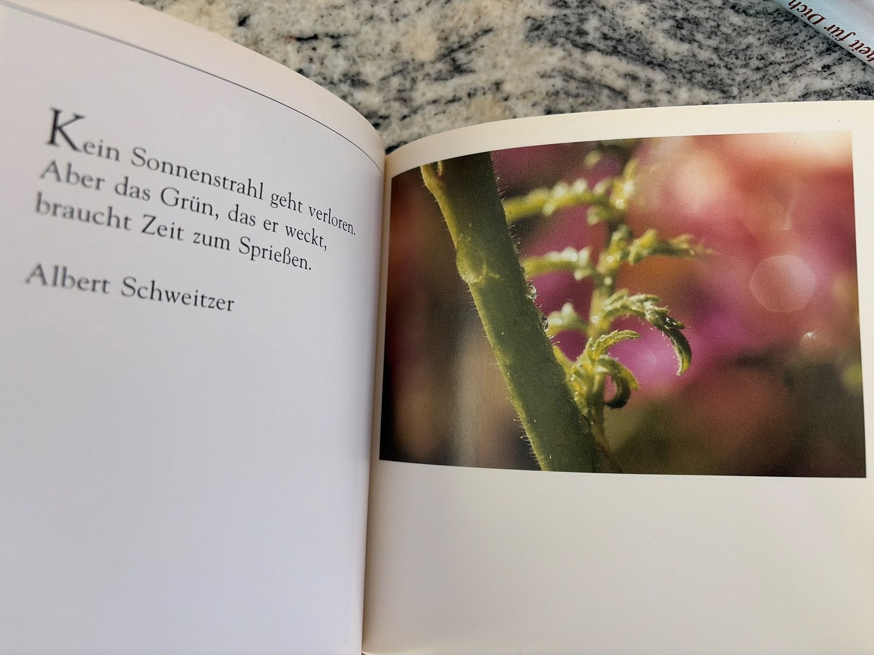 Libri: Buch mit Bildern und Gedanken, ars edition – Nuovo (secondo la descrizione) da Thalwil venduto da Sommerwende 4