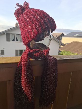 Glitzer Set Bordeaux Mütze Schal One Size Winter Herbst 🎄