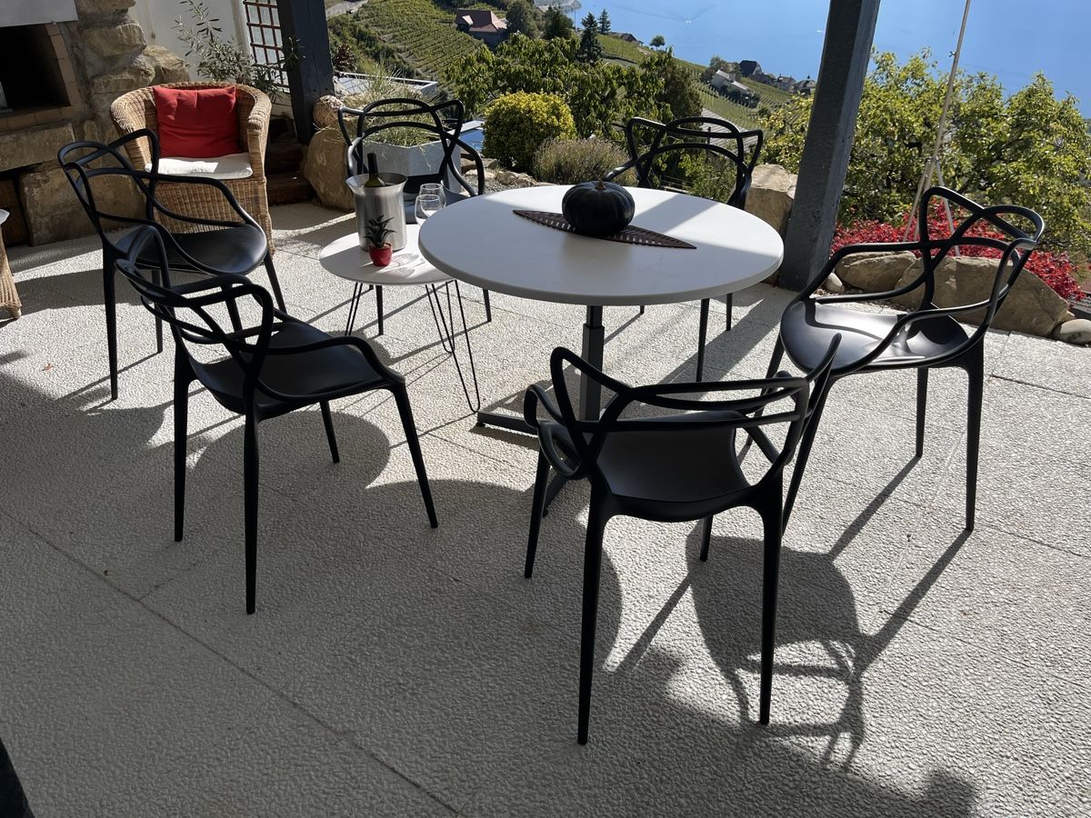 Kartell Sedie: Chaises Masters Kartell by Philippe Starck – Usato da Lausanne venduto da joltei
