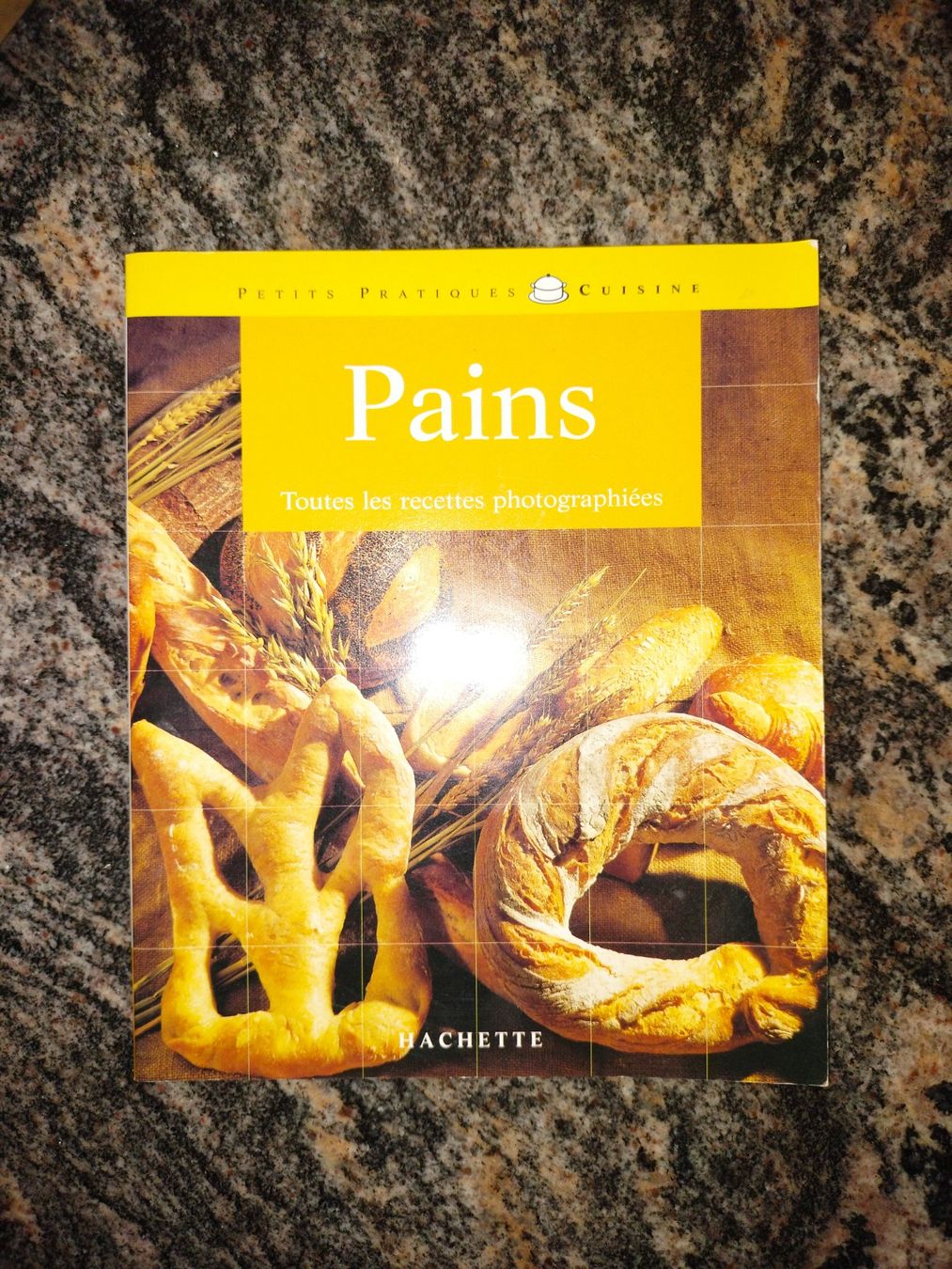 Bücher: Pains Minouche Pastier Hachette Pratique – Gebraucht aus Cortaillod von rozinna