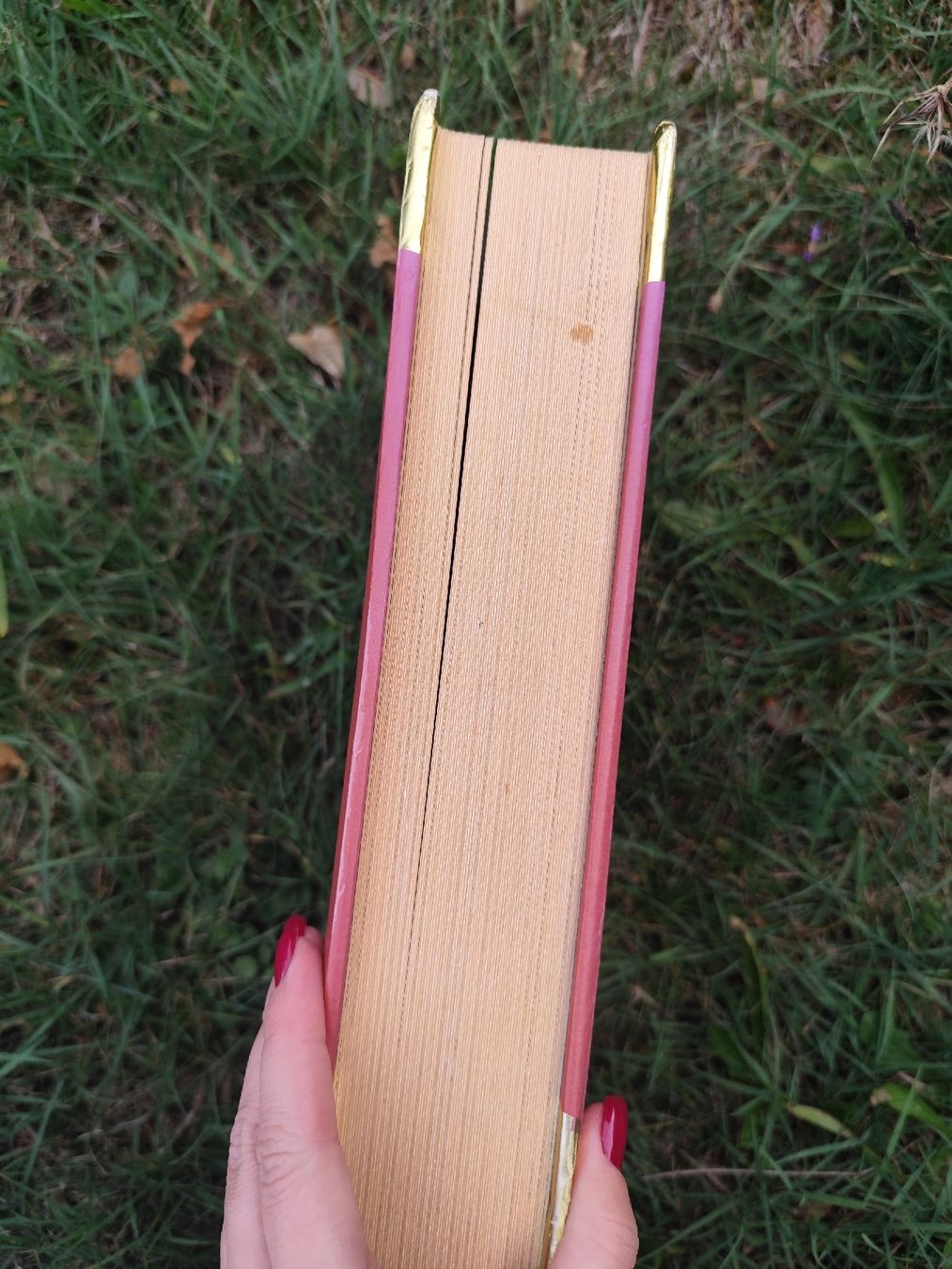Bücher: Märchenbuch Coppenrath Es war einmal  – Gebraucht aus Mägenwil von VintageGirly 2