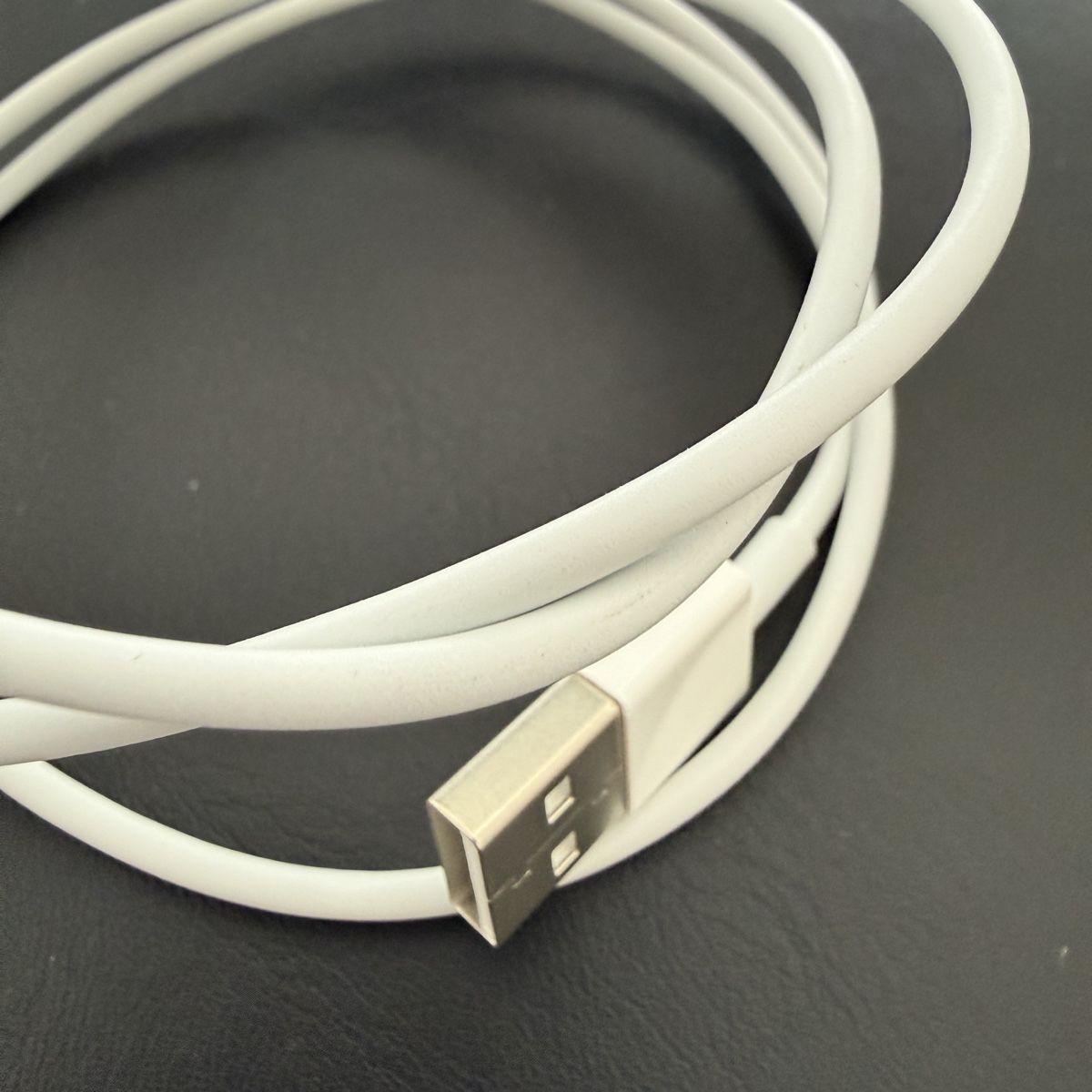 Apple Cavi: Apple Lightning auf USB Kabel neu – Nuovo (secondo la descrizione) da Rupperswil venduto da Nemo025 1