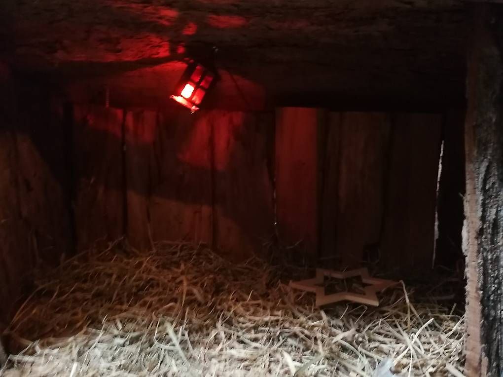 Tutte le decorazioni: Grosse Bischofzeller Weihnachtskrippe – Usato da Wittenbach venduto da Handfest 3