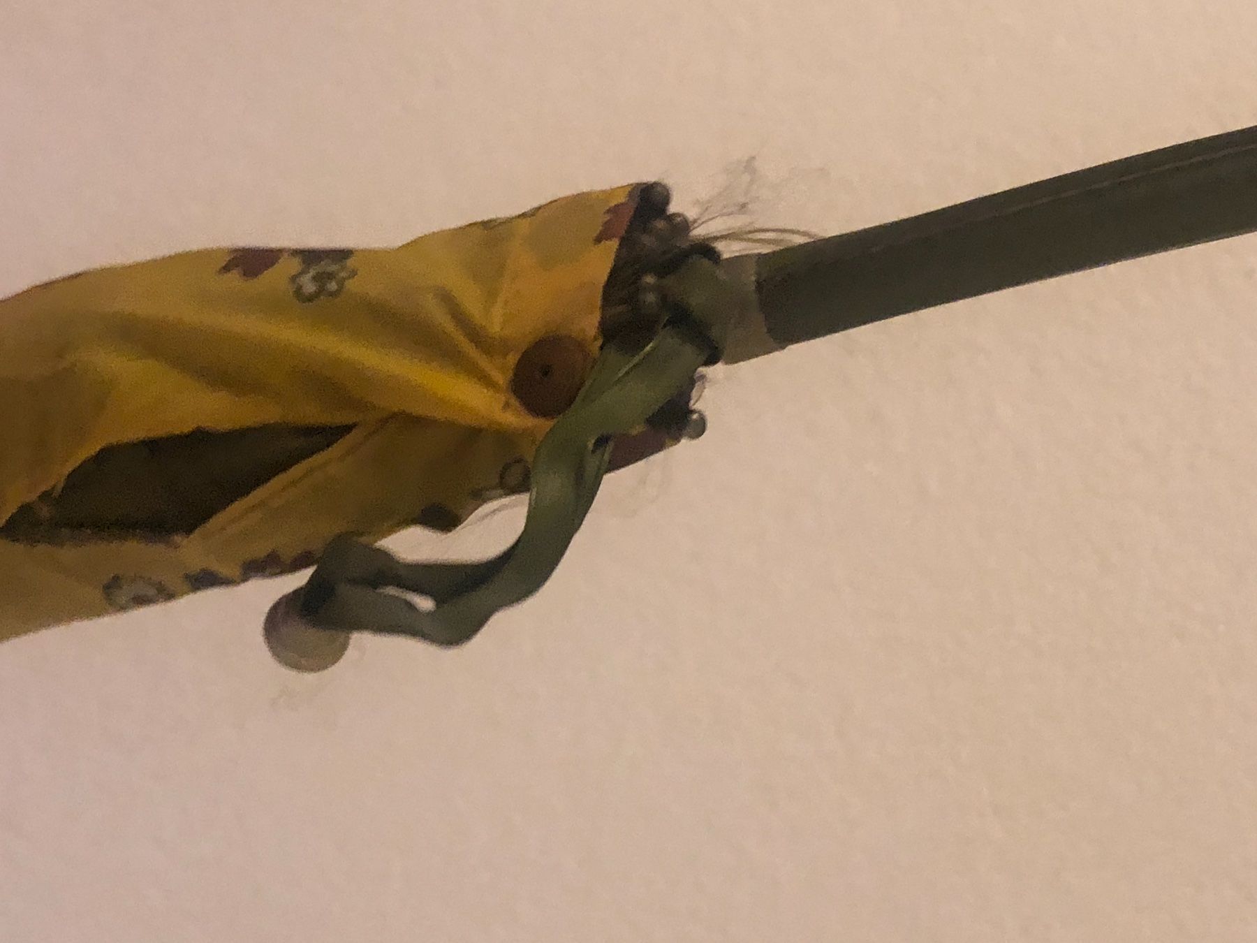 Sun Ombrelli: Alter Regenschirm – Usato da Schlieren venduto da Flower5 4