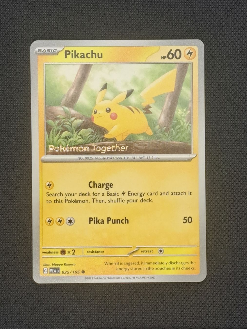 Pokémon Cartes à collectionner: Pikachu Pokémon Together  – Neuf (Voir description) à Attinghausen par UltimateNerd