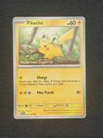 Pikachu Pokémon Together 