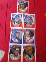 EHC KLOTEN FLYERS SWISS HOCKEY STICKERS ANTIK 2005 7STK