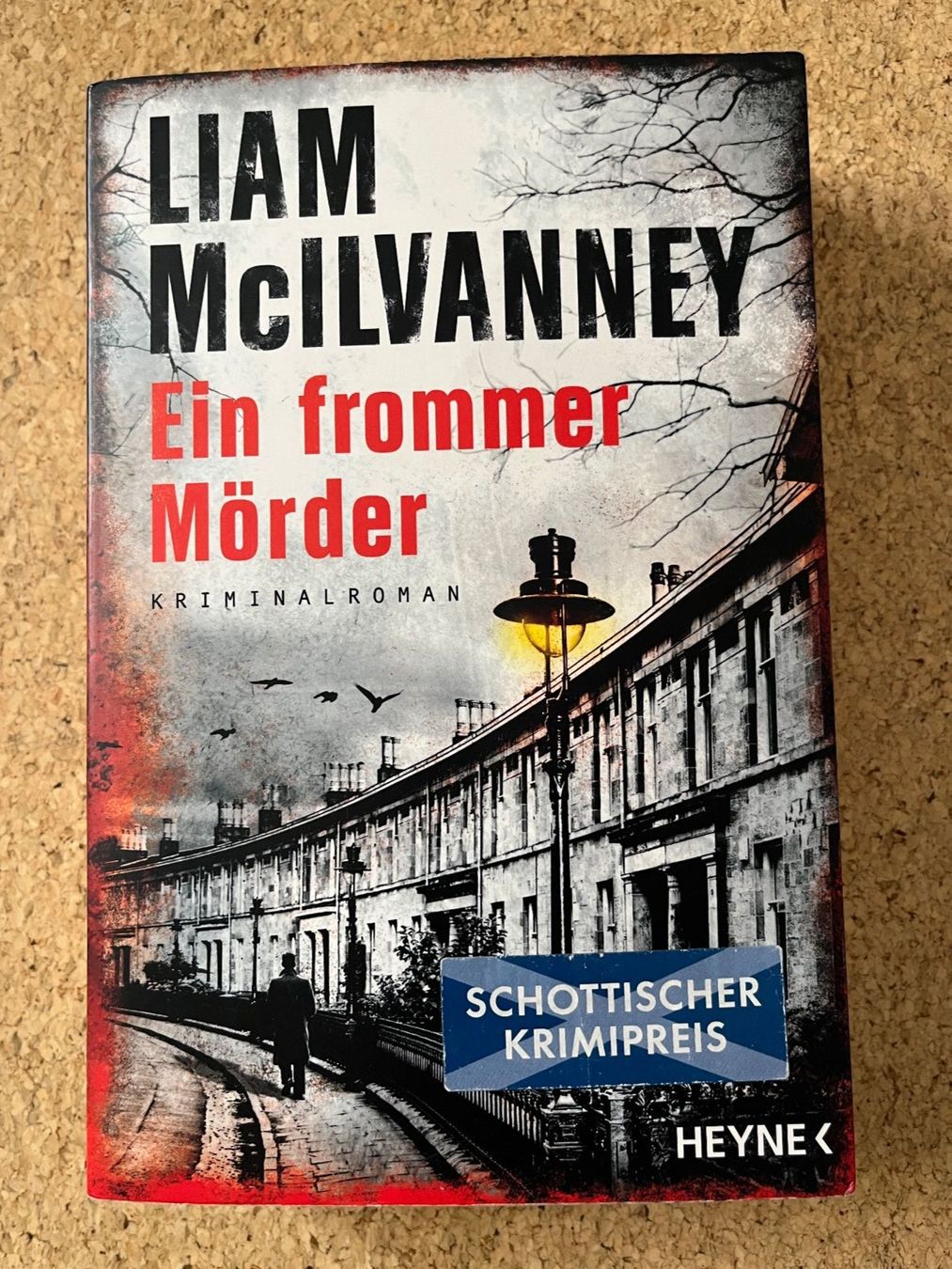 Libri: Taschenbuch "Ein frommer Mörder", Liam McIlvanney – Usato da Grosswangen venduto da Vita500
