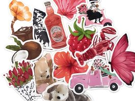 Vintage Aesthetic Sticker Set – Rosa / Rot Mix