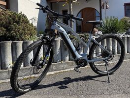 Bixs Access E20 Gor Cool Grey, E-Bike