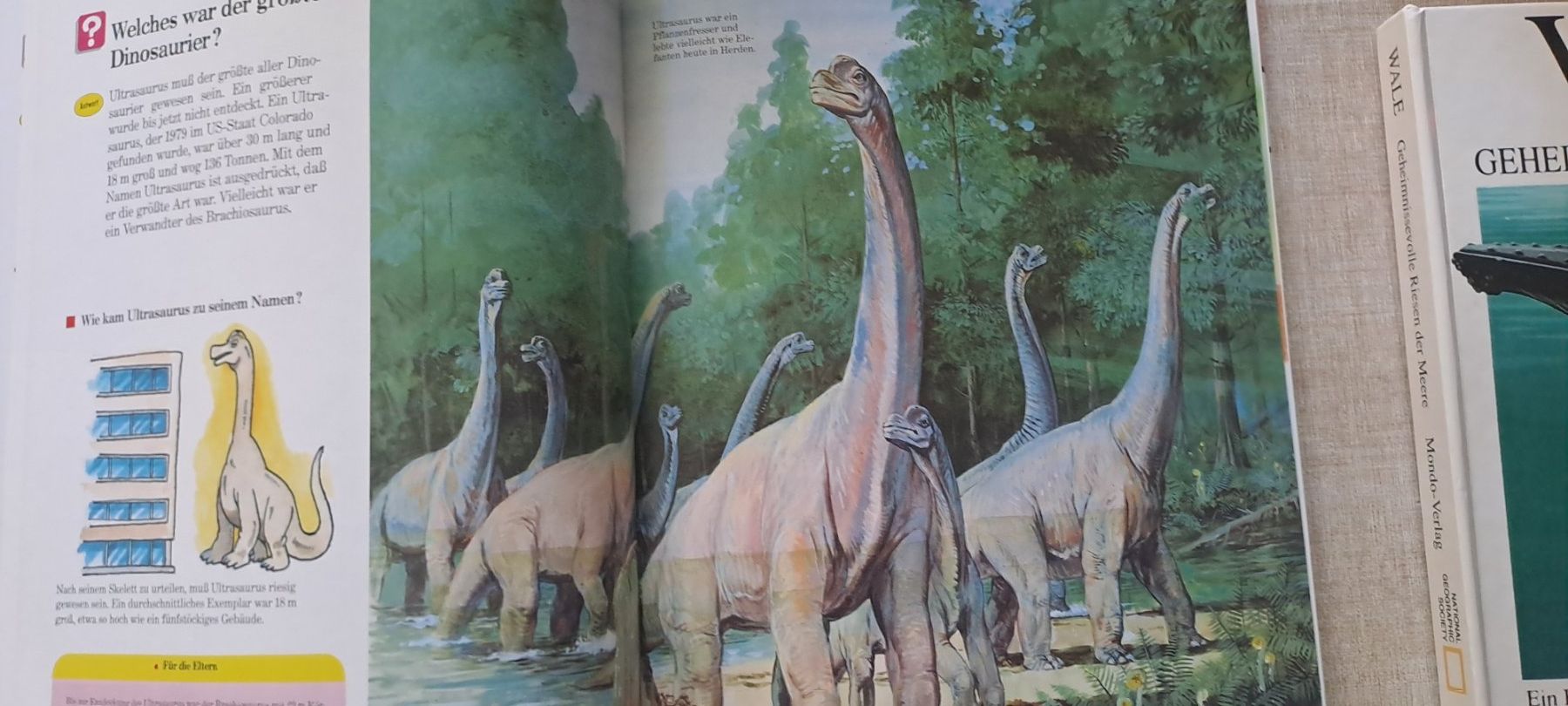 Libri: Wale und dinosaurier buch – Usato da Bitsch venduto da jajo79076 8