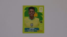 Panini WM 2026 Sticker BRA15 Rodrygo