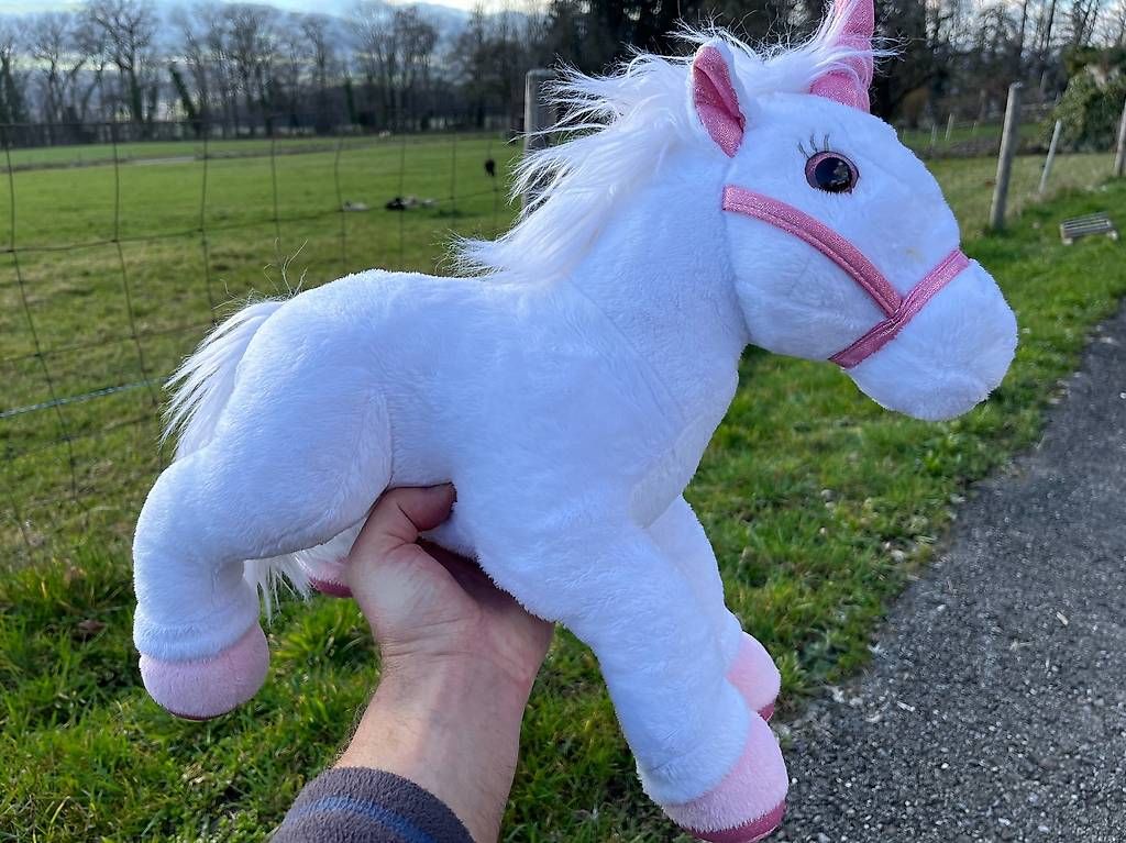 Tutte le decorazioni: Animiertes Einhorn  – Usato da Bellikon venduto da Ndorfer 3