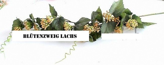 Tutte le decorazioni: Blütenzweig lachs – Nuovo (secondo la descrizione) da Schlatt TG venduto da kreativ-atelier