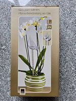 Pflanzenbewässerung aus Glas, neu