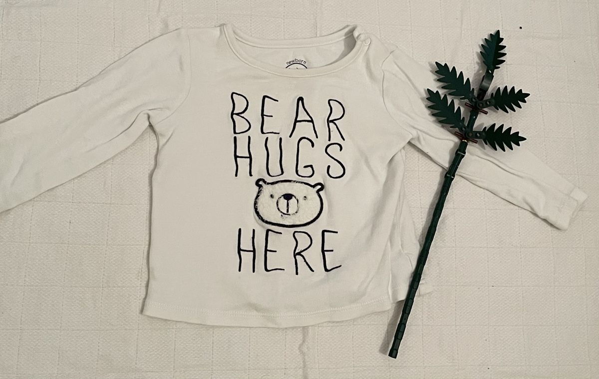 Chemises: Bear Hugs Winter, White, Long Sleeves – D'occasion à Zollikerberg par BS.SM