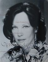 Leslie Caron (1931) Schauspielerin - sign. Grossfoto