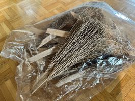 Trockenblumen-Set für Deko, Basteln - Natur Pur!