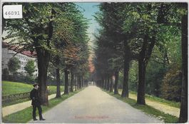 Basel - Tiergartenallee - animee - Litho