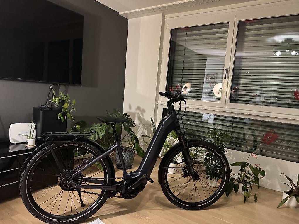 Cresta Velos: Cresta eViva GT8 Modell 2025 E- Bike neu – Neu und originalverpackt aus Schaffhausen von Nathalia33