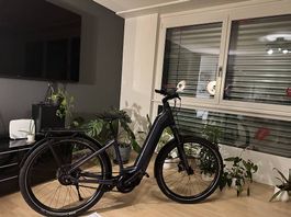 Cresta eViva GT8 Modell 2025 E- Bike neu
