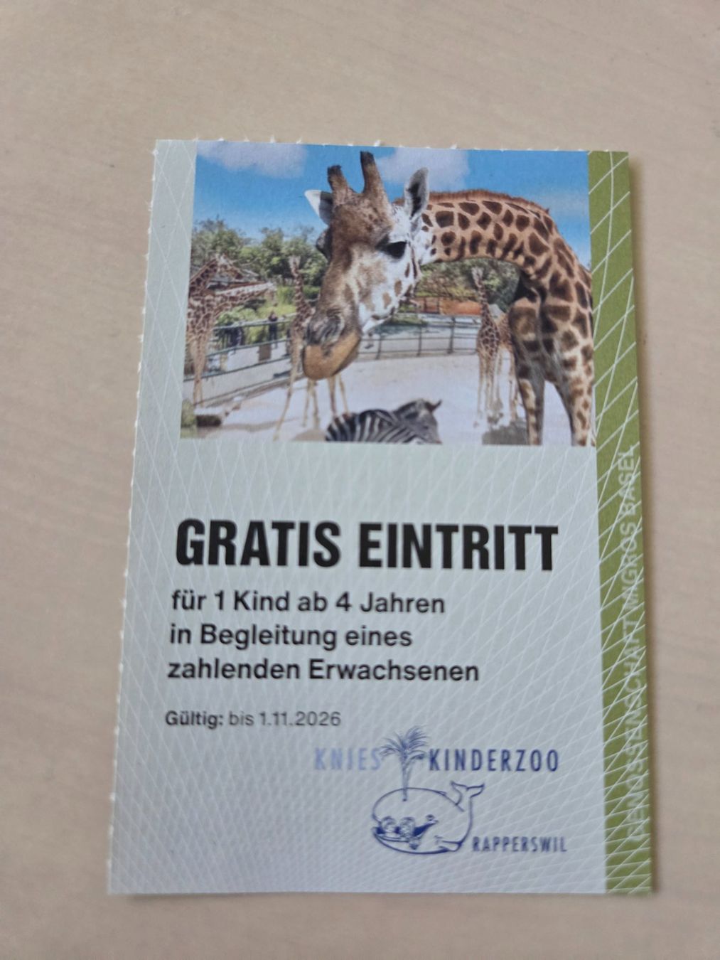 Buoni: Gutschein Kinderzoo Rapperswil – Usato da Liestal venduto da ITOlio