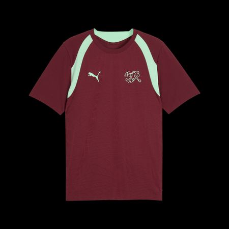 Puma SFV Training Jersey - team regal red (Grösse: XXL)