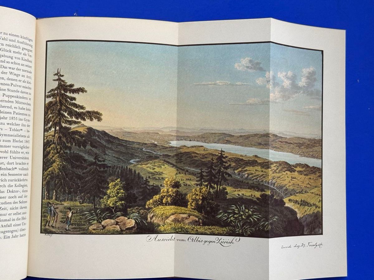 Libri: Meta Heusser-Schweizer Hauschronik – Usato da Adliswil venduto da buch_und_kunst 4