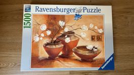 Schönes Puzzle Vasen