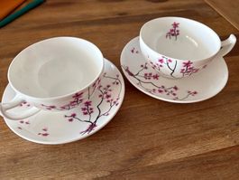 Tea Logic Tasse mit Unterteller, Kirschblütenmuster🌸