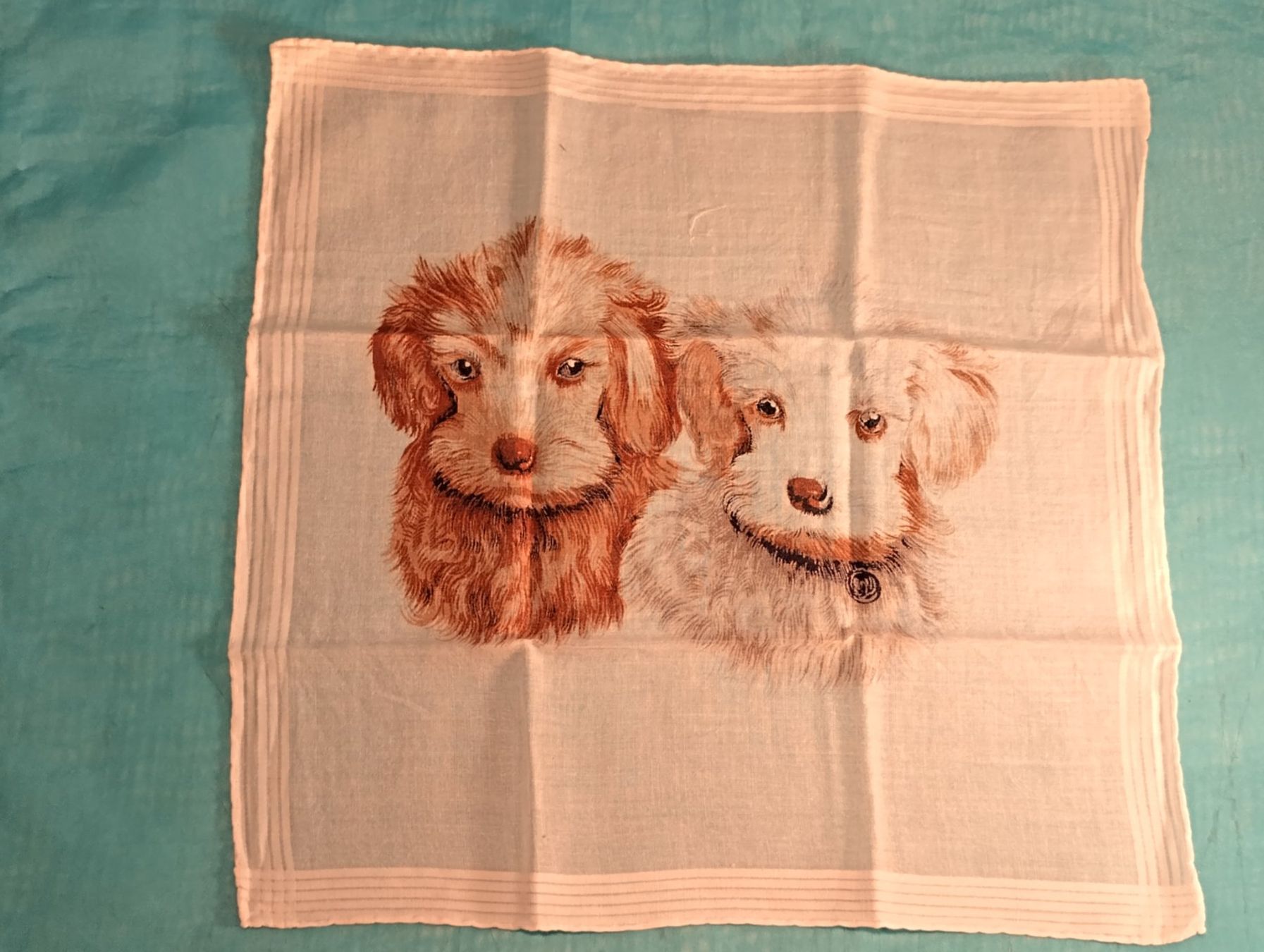 Altro in  Abbigliamento & Accessori: Taschentuch, 2 Hunde Welpen – Usato da Bellach venduto da JingleCherry