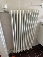 Klassischer Stahl-Rippenheizkörper mit Danfoss-Thermostat – 