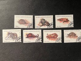 Madagaskar1993 Muscheln Serie gest. Luxus (E1033)