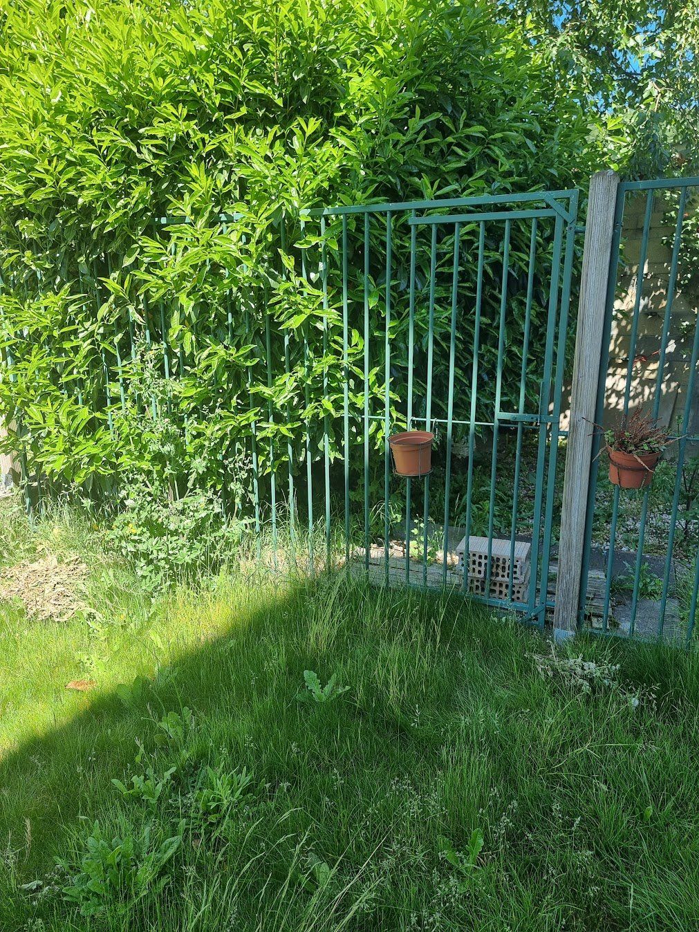 Gabbie, trasporto & Sicurezza: Chenil - barrière en fer extérieur à vendre – Usato da Neuchâtel venduto da cle_j6qj 6