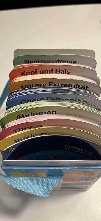 Altro materiale scolastico: Prometheus LernKarten Anatomie – Usato da Bern venduto da Babsbanni 1