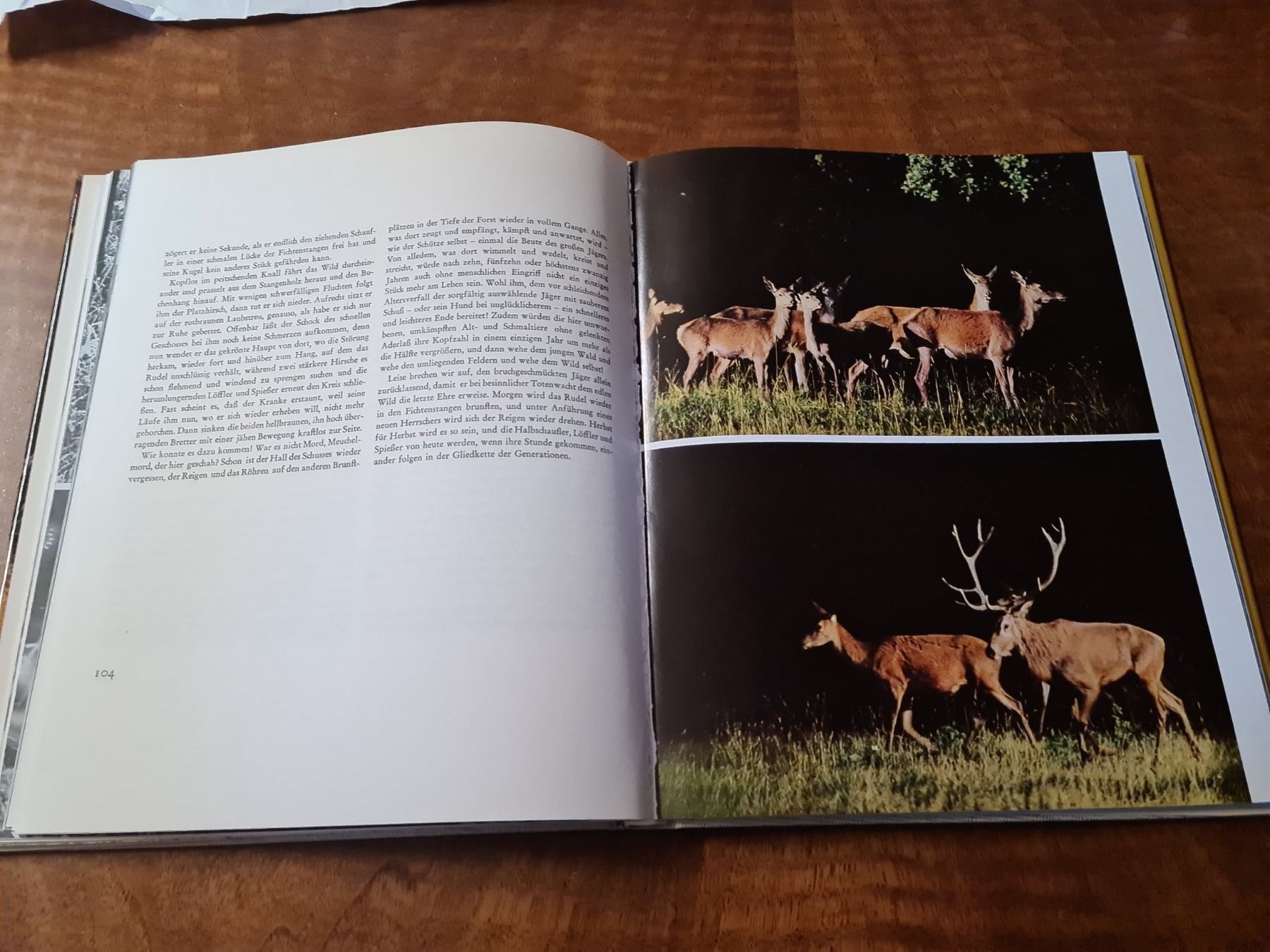 Libri: Unter Gottes weitem Himmel – Usato da Erstfeld venduto da Uhu1980 2
