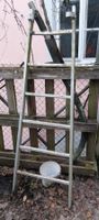 Alu Leiter, Anlegeleiter, Stehleiter,